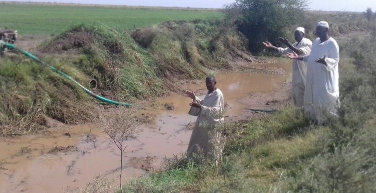 ارشيفية ــ العطش بمشروع الجزيرة